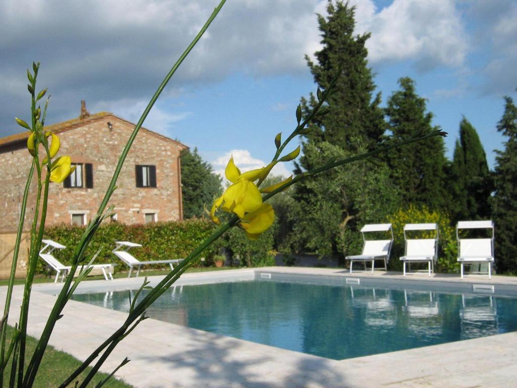 Certine Agriturismo Asciano Exteriör bild