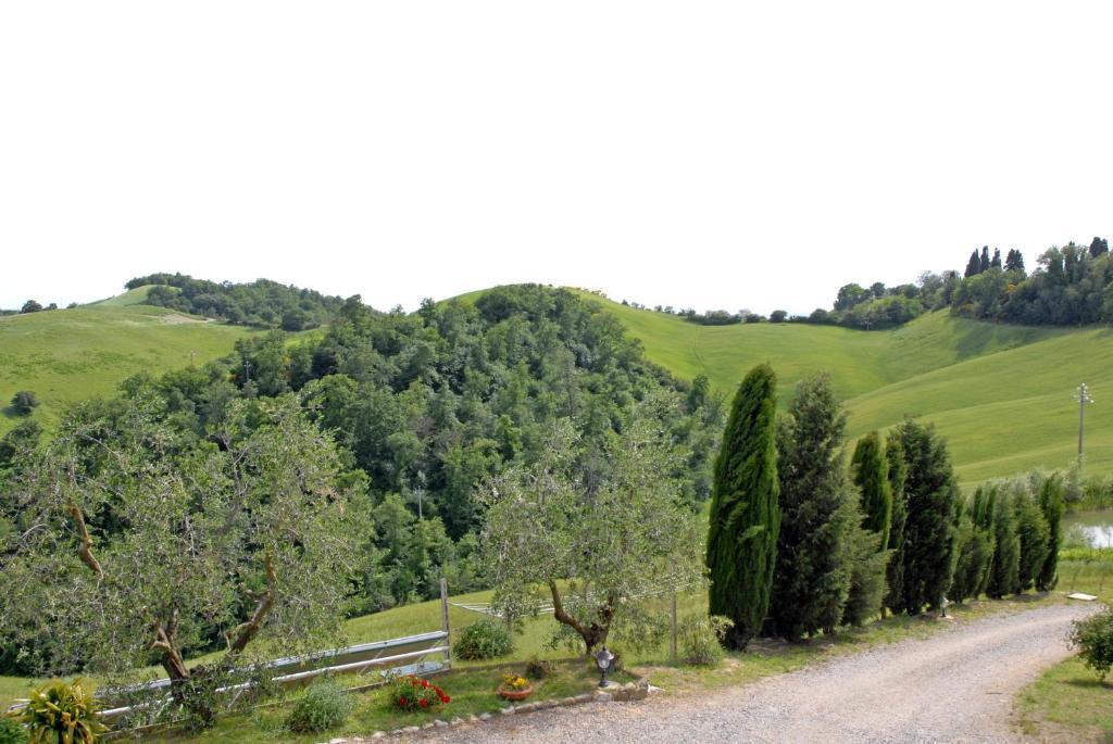 Certine Agriturismo Asciano Exteriör bild